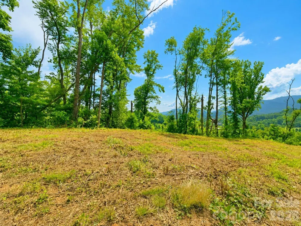 271 Sorrells Cove Road #C2 Waynesville, NC 28786