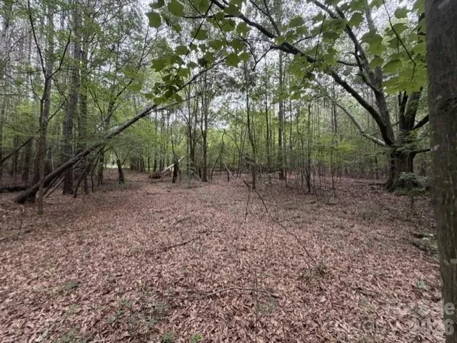 1100 Blacksburg Road Grover, NC 28073