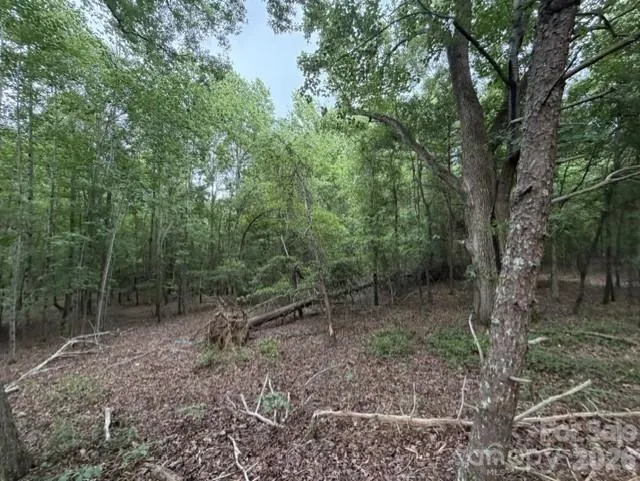 1100 Blacksburg Road Grover, NC 28073