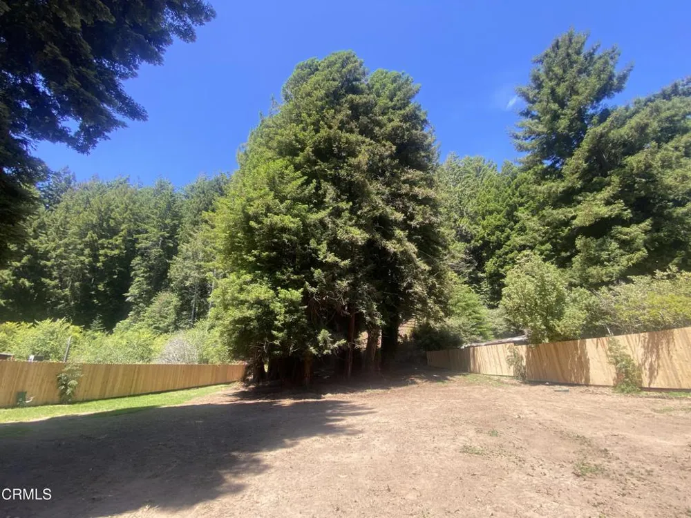 23780 De Haven Creek Road Westport, CA 95488