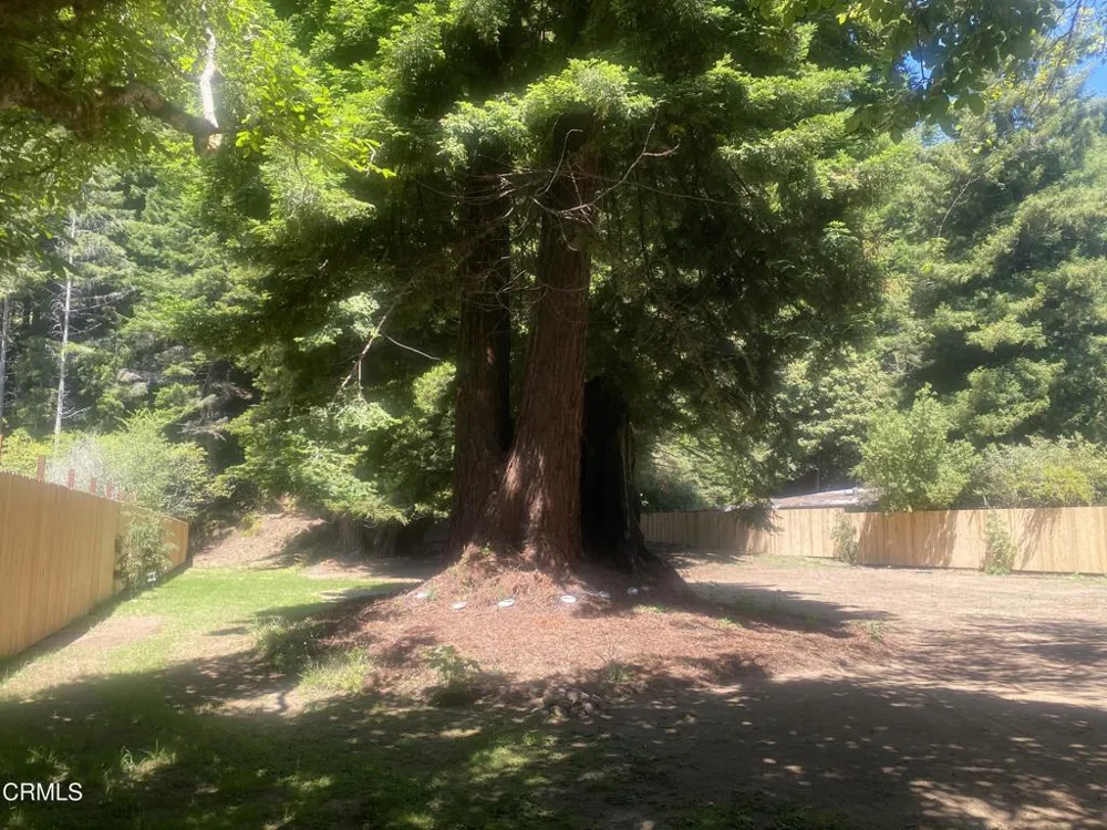 23780 De Haven Creek Road Westport, CA 95488