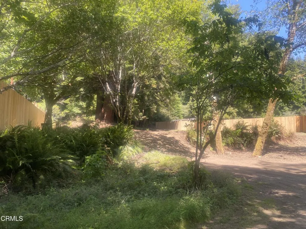 23780 De Haven Creek Road Westport, CA 95488