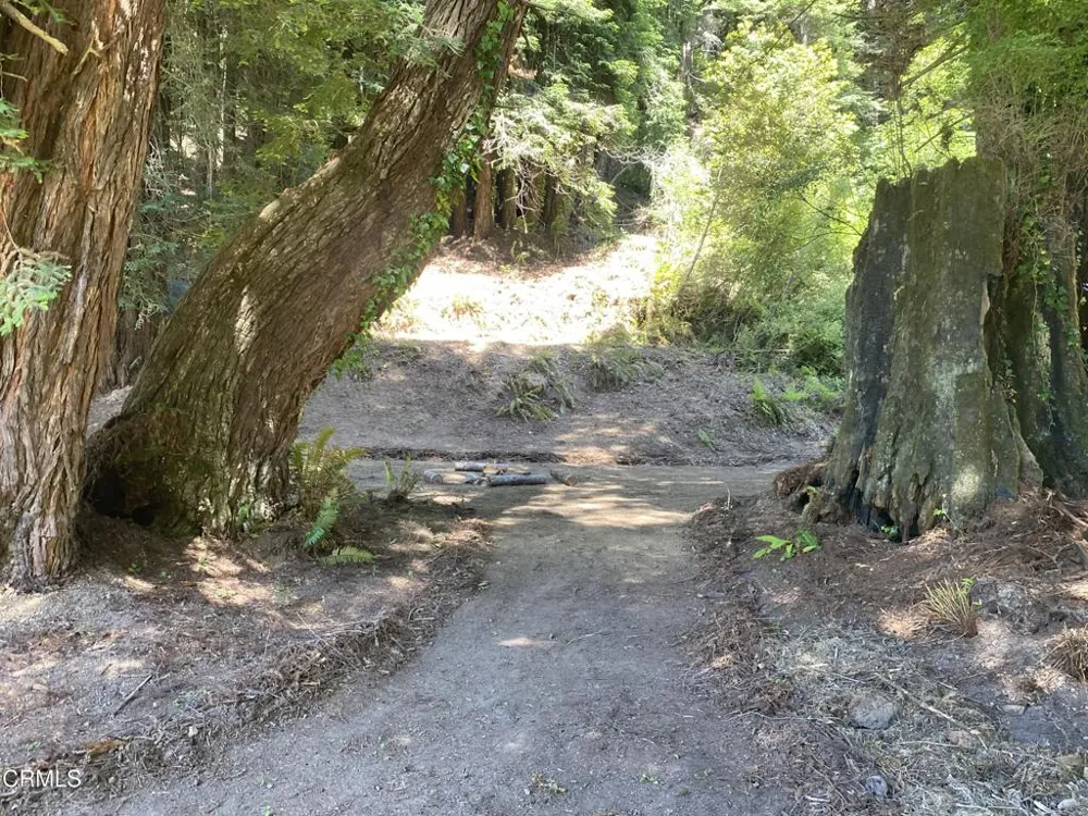23780 De Haven Creek Road Westport, CA 95488