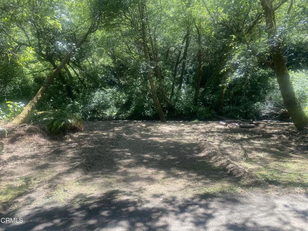 23780 De Haven Creek Road Westport, CA 95488