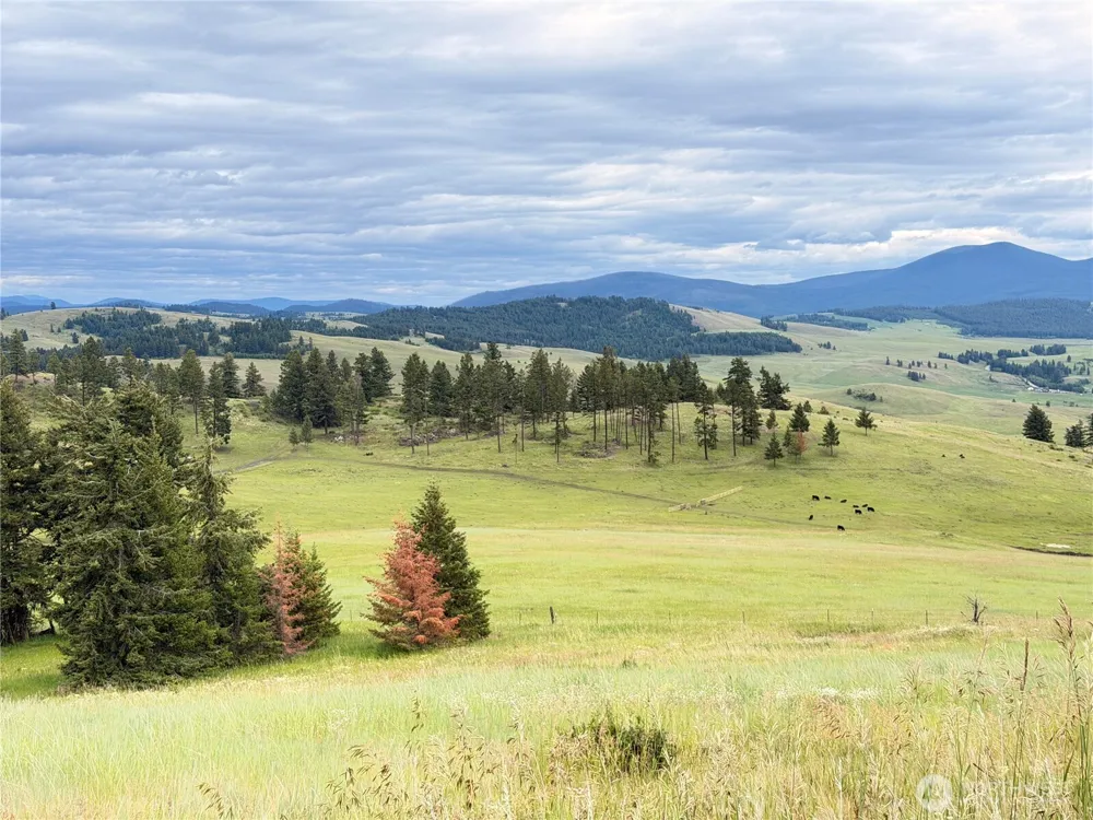 12 S Teal Lake Road Oroville, WA 98844