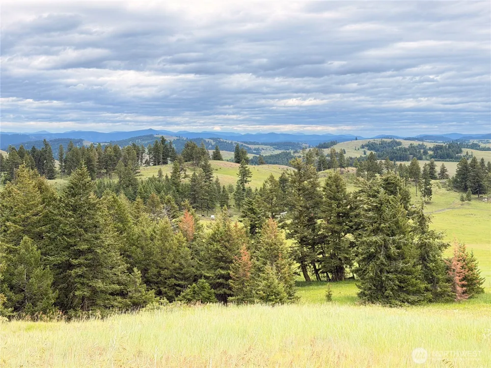 12 S Teal Lake Road Oroville, WA 98844