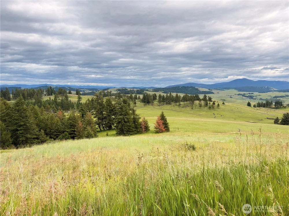 12 S Teal Lake Road Oroville, WA 98844