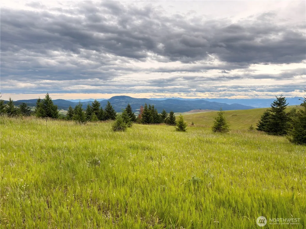 12 S Teal Lake Road Oroville, WA 98844