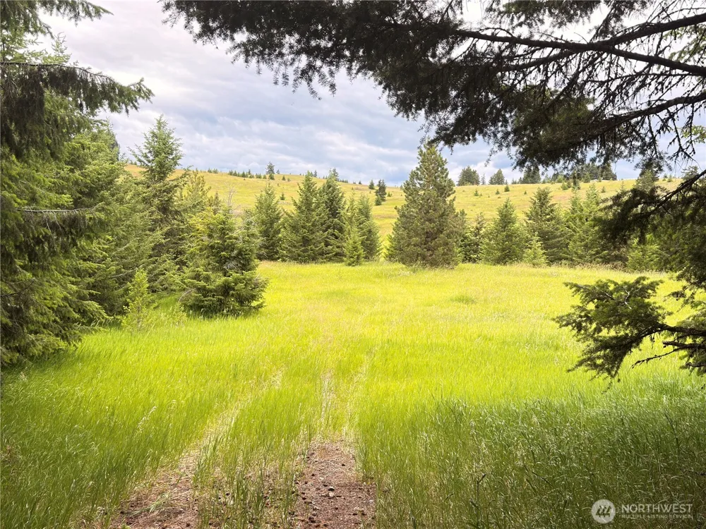 12 S Teal Lake Road Oroville, WA 98844