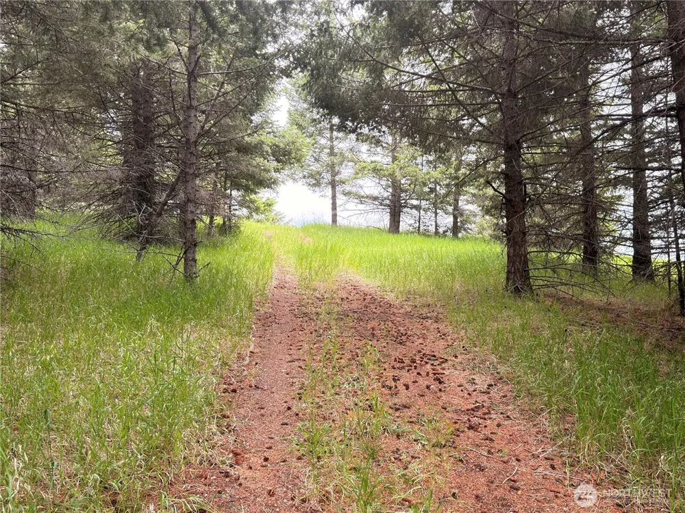 12 S Teal Lake Road Oroville, WA 98844