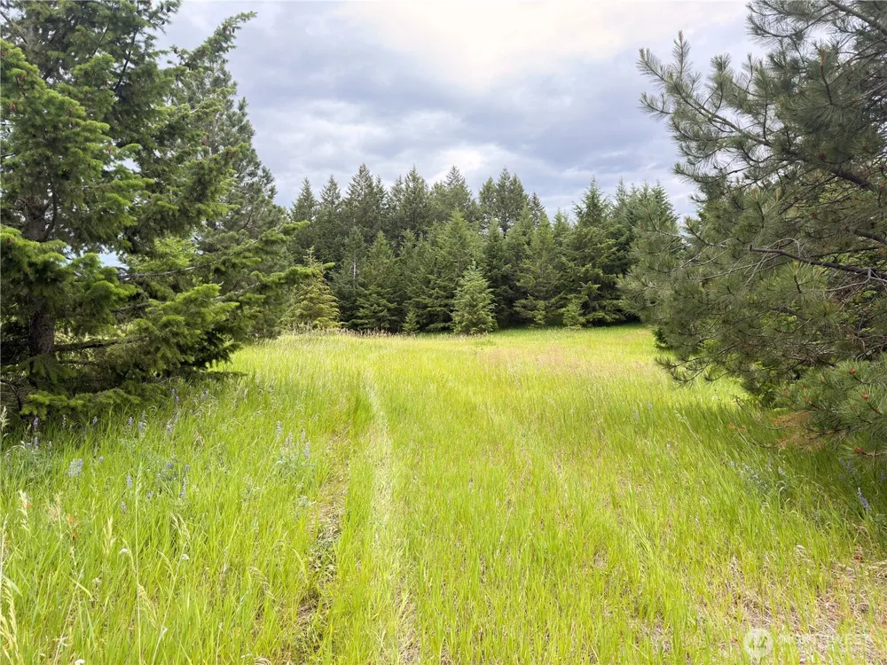 12 S Teal Lake Road Oroville, WA 98844