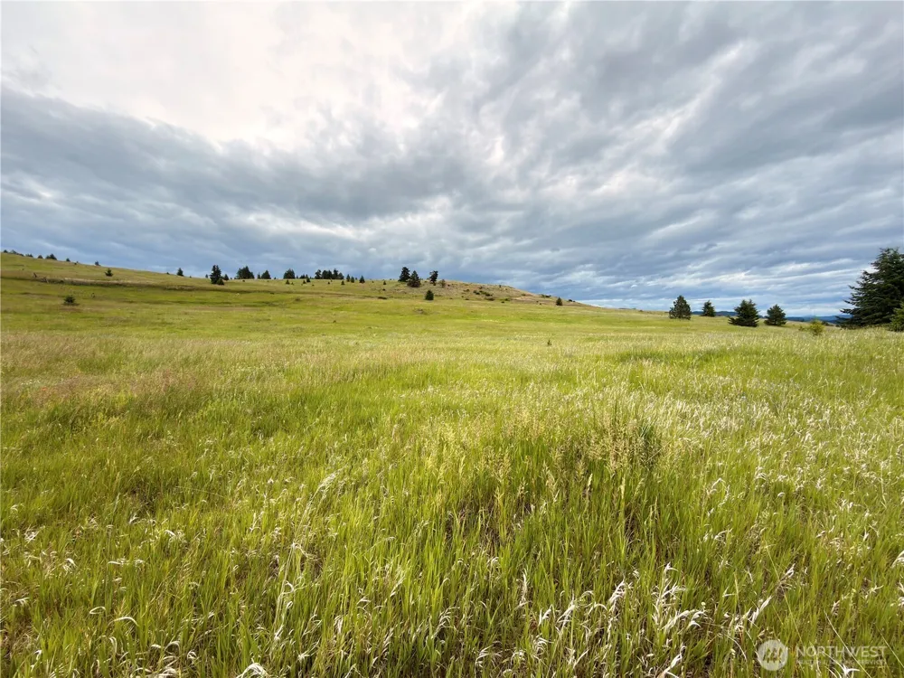 12 S Teal Lake Road Oroville, WA 98844