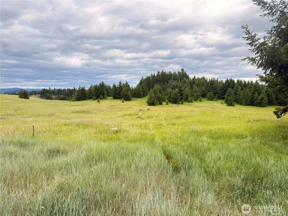 12 S Teal Lake Road Oroville, WA 98844