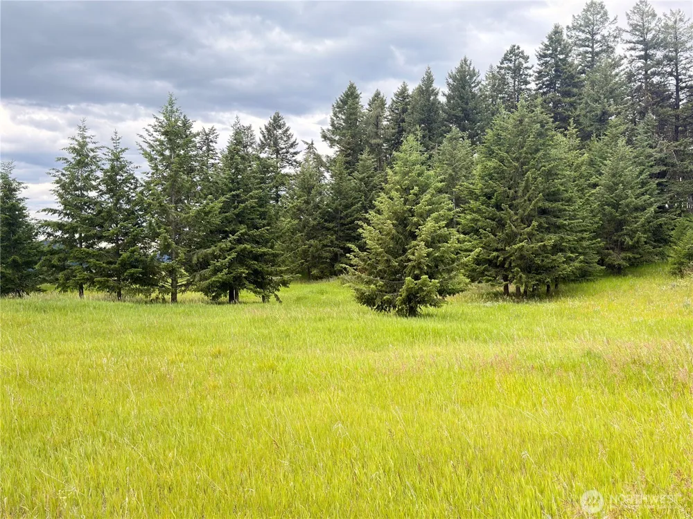 12 S Teal Lake Road Oroville, WA 98844