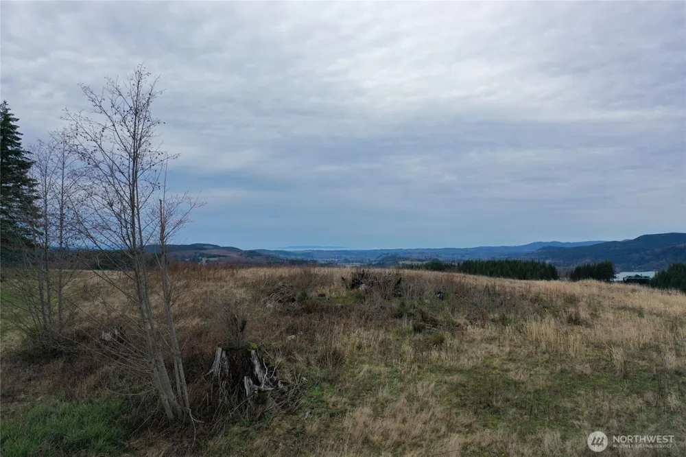 4 Hagen Road Mossyrock, WA 98564
