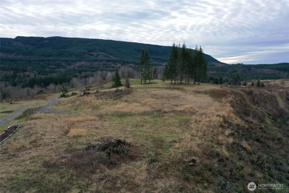 4 Hagen Road Mossyrock, WA 98564