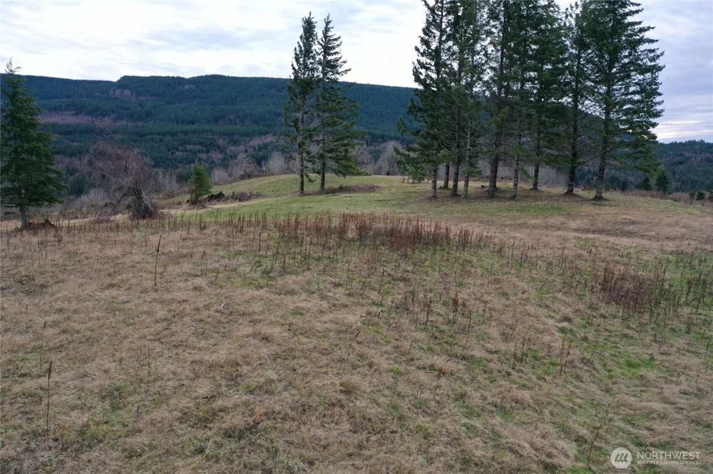 4 Hagen Road Mossyrock, WA 98564