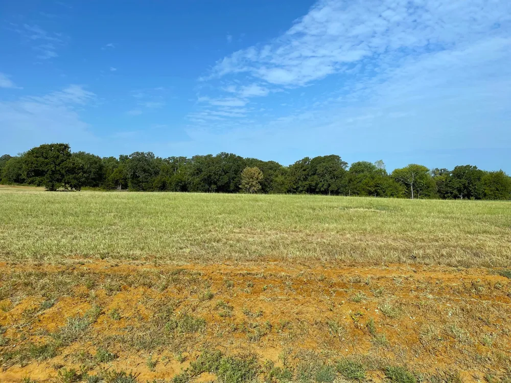 Windrose Loop Gordonville, TX 76245