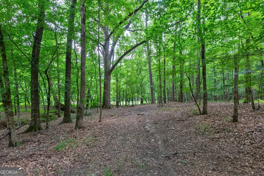 1800 Elder Mill RD Watkinsville, GA 30677