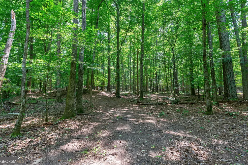 1800 Elder Mill RD Watkinsville, GA 30677