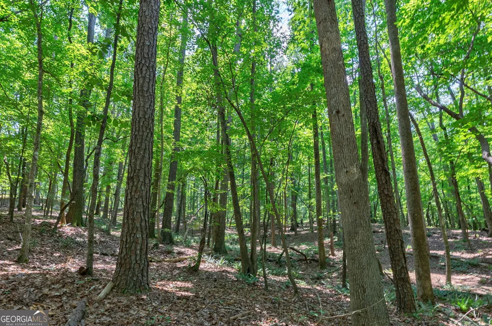 1800 Elder Mill RD Watkinsville, GA 30677