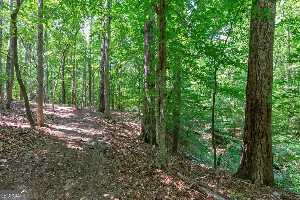 1800 Elder Mill RD Watkinsville, GA 30677