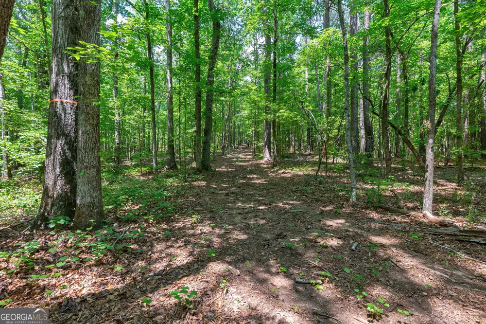 1800 Elder Mill RD Watkinsville, GA 30677