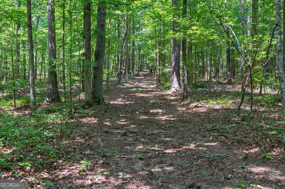 1800 Elder Mill RD Watkinsville, GA 30677