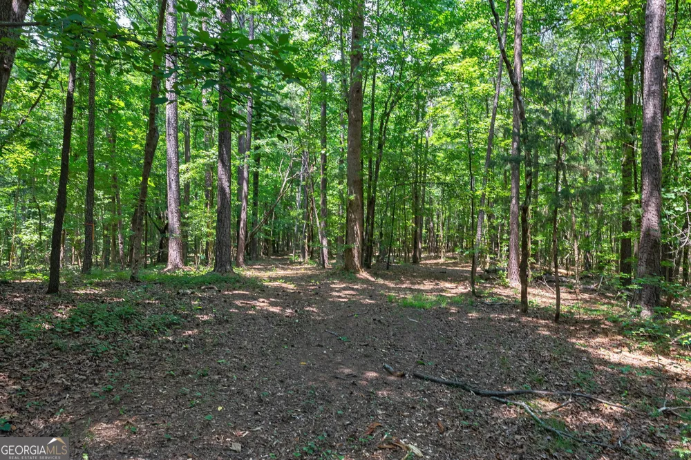 1800 Elder Mill RD Watkinsville, GA 30677