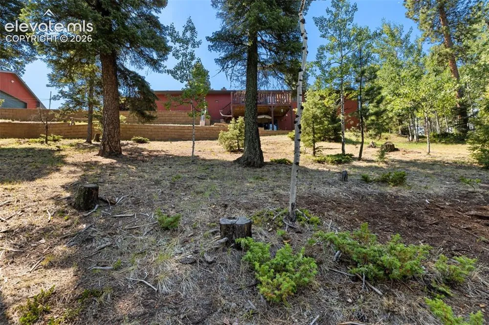 69 Cody Creek Trail Divide, CO 80814