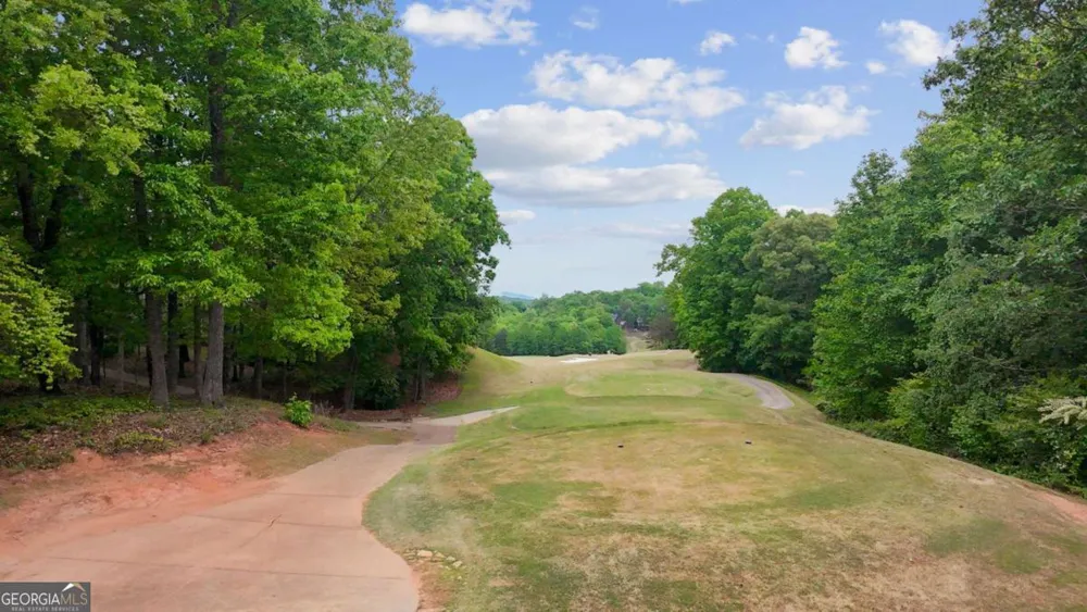 290 River Sound LN Dawsonville, GA 30534