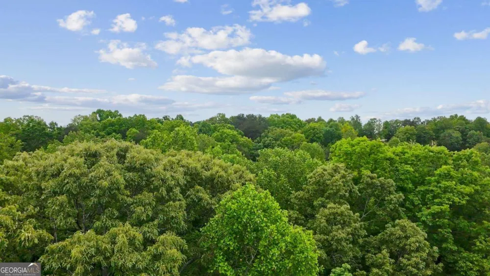 290 River Sound LN Dawsonville, GA 30534