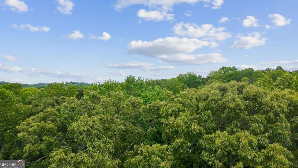 290 River Sound LN Dawsonville, GA 30534