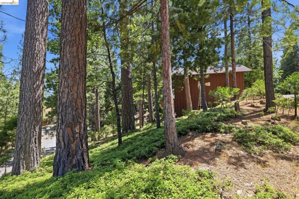 24255 Black Oak Ct Mi Wuk Village, CA 95346