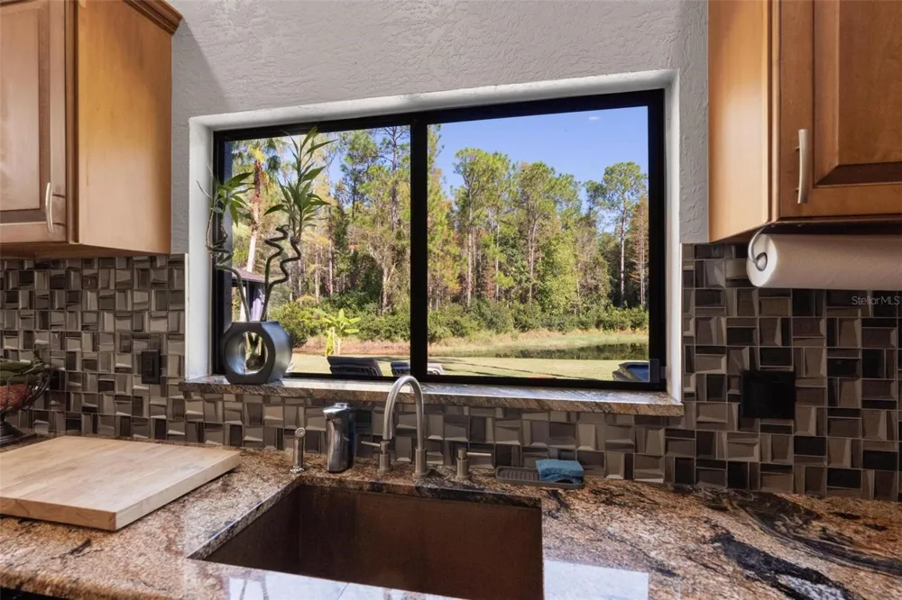 13228 ROYAL GEORGE AVENUE Odessa, FL 33556