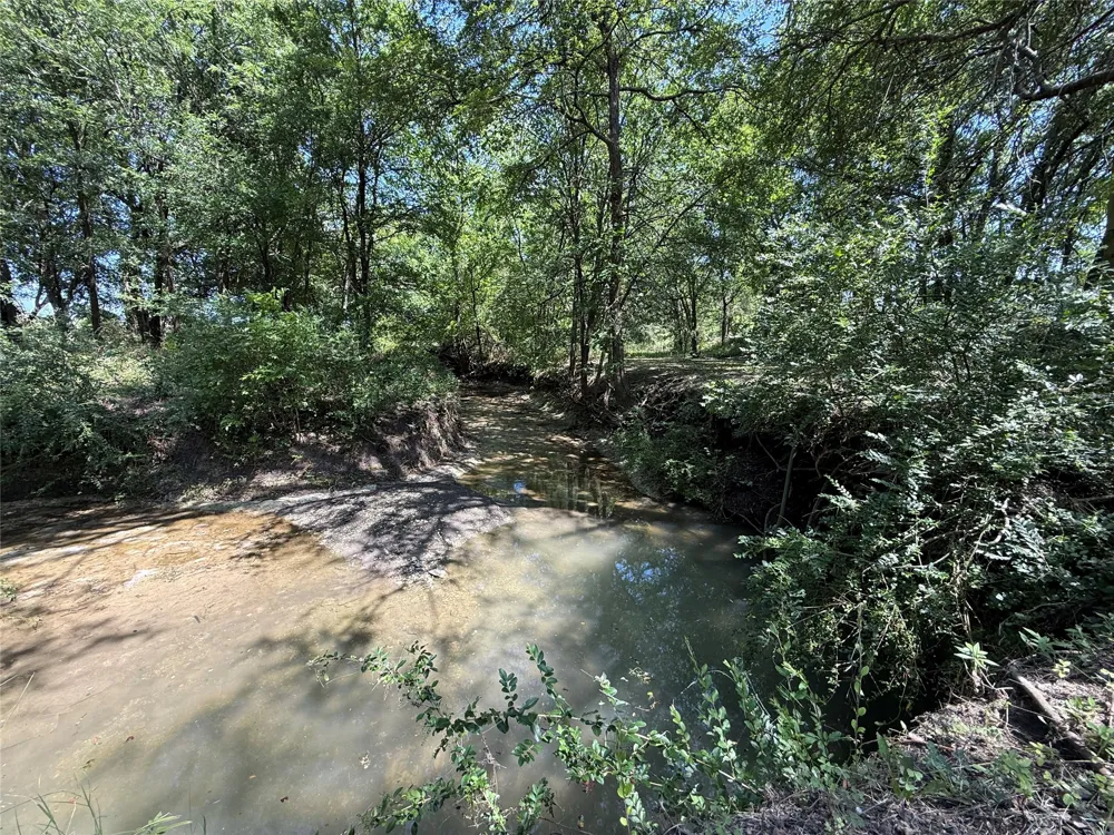 288 County Road 4430 Whitewright, TX 75491