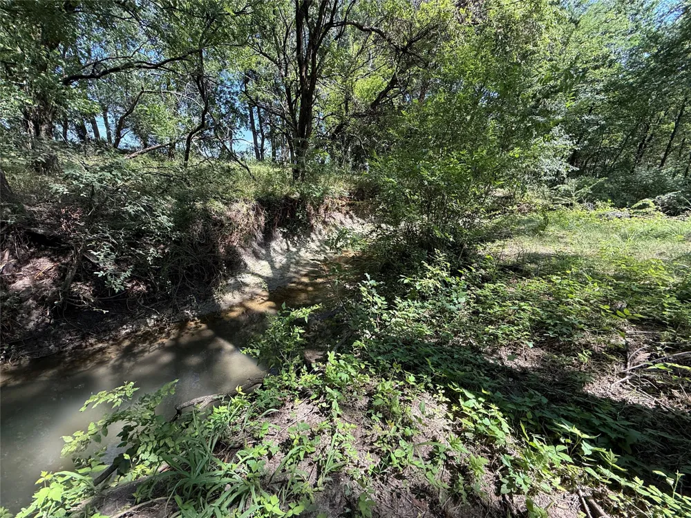 288 County Road 4430 Whitewright, TX 75491