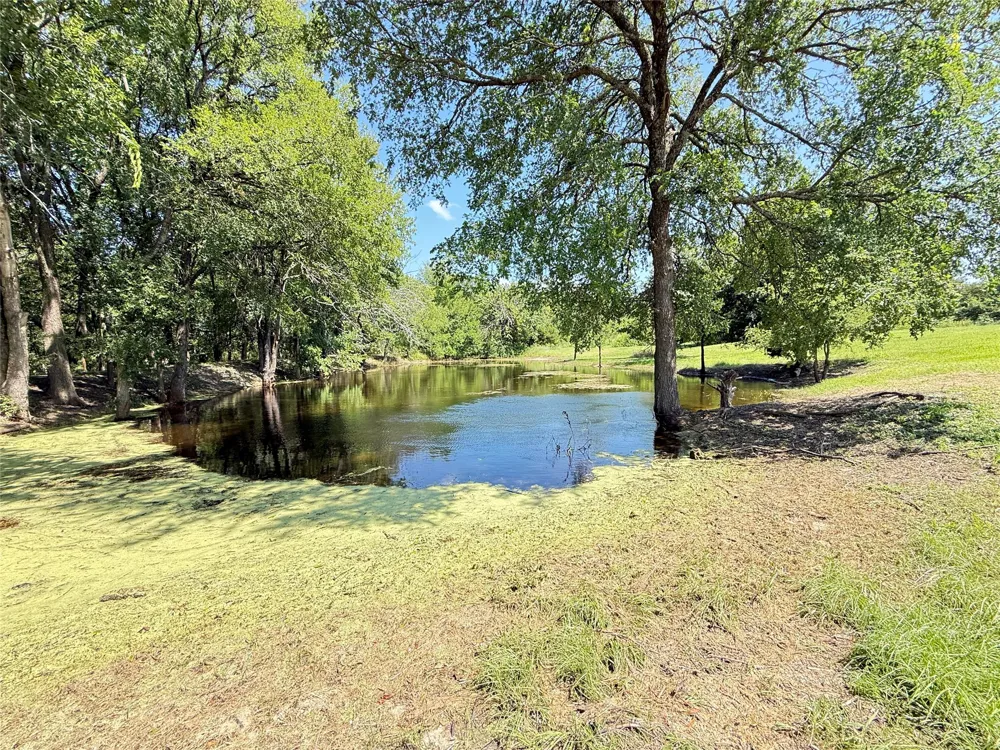 288 County Road 4430 Whitewright, TX 75491