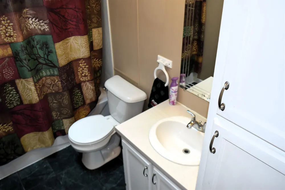 8941 S Mission Road Lincoln Township, MI 48858