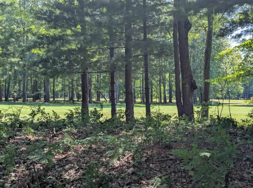 5110 Huron Breeze Drive Sims Township, MI 48703