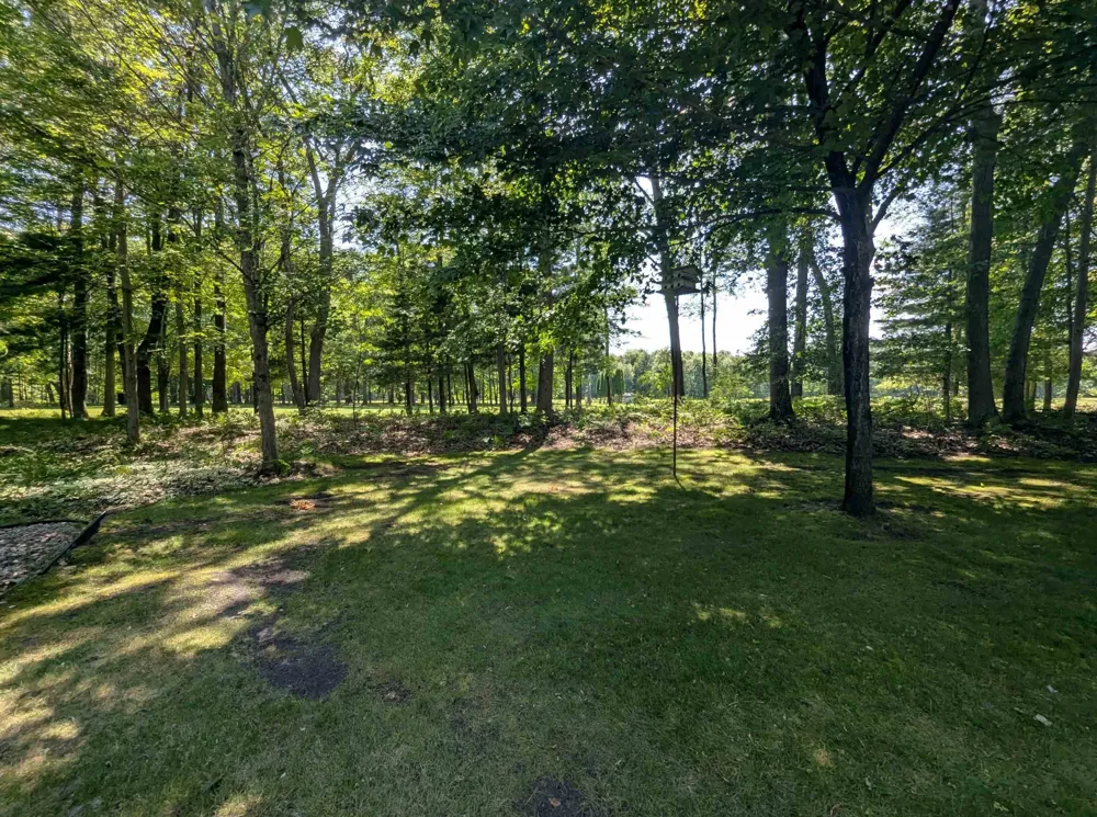 5110 Huron Breeze Drive Sims Township, MI 48703