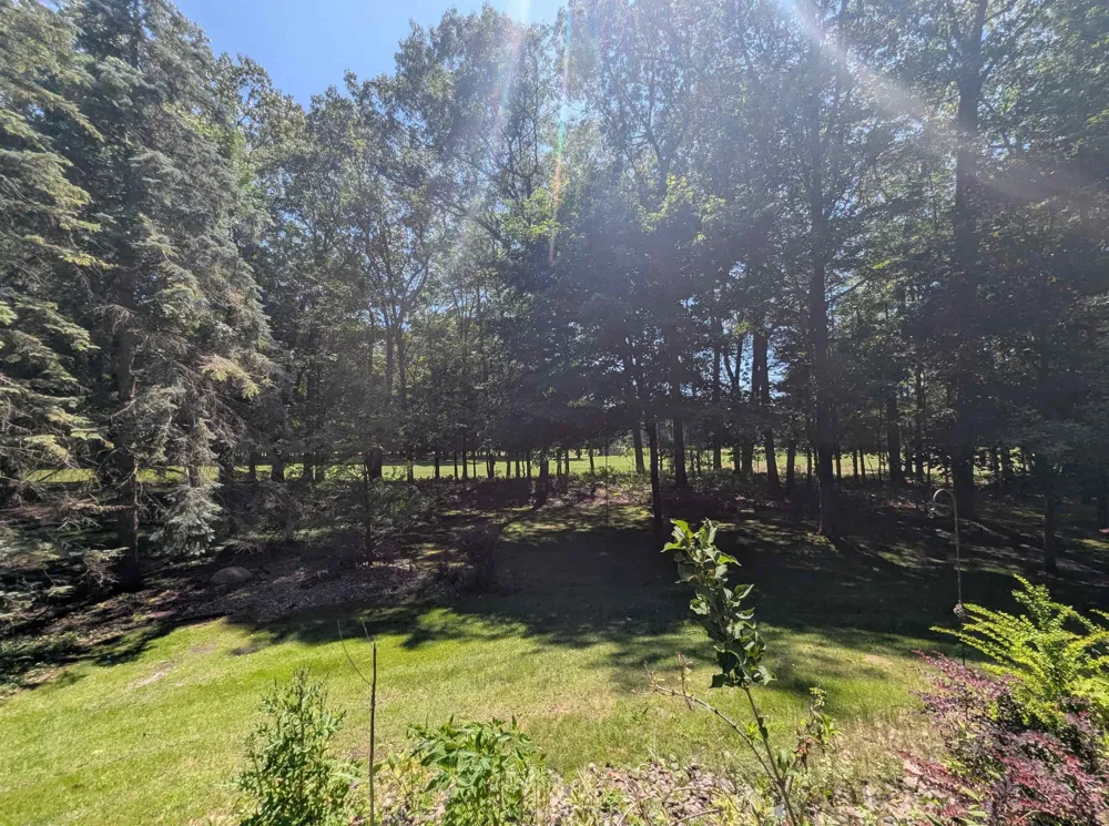 5110 Huron Breeze Drive Sims Township, MI 48703