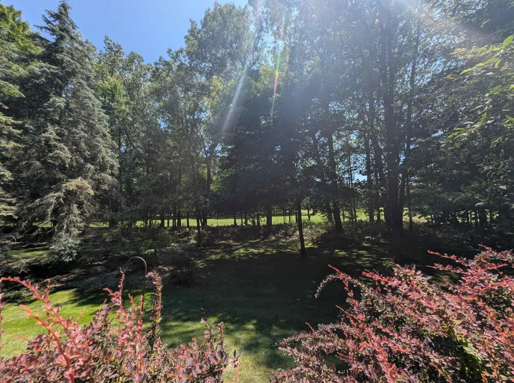 5110 Huron Breeze Drive Sims Township, MI 48703