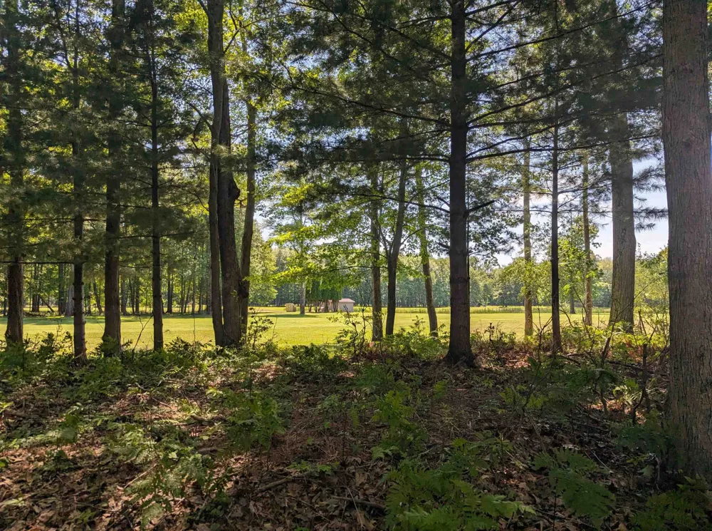 5110 Huron Breeze Drive Sims Township, MI 48703