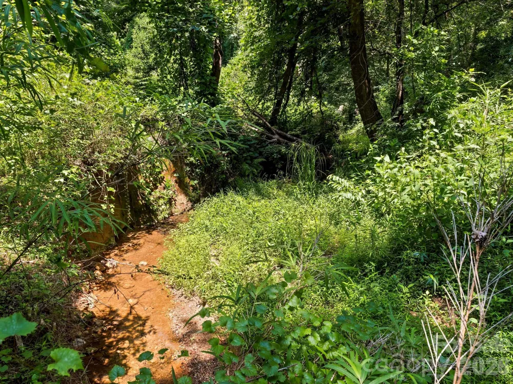 1541 Sandy Springs Road Rutherfordton, NC 28139