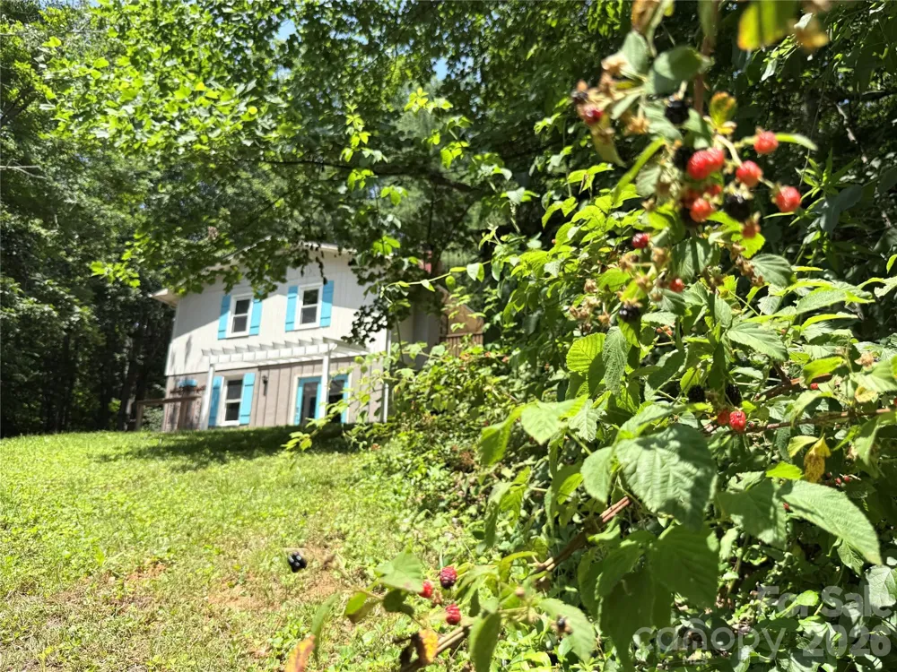 95 Walker Cove Road Black Mountain, NC 28711