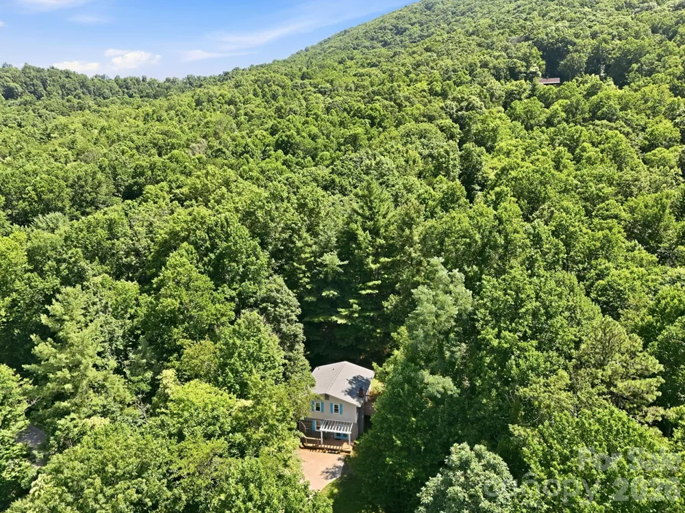 95 Walker Cove Road Black Mountain, NC 28711