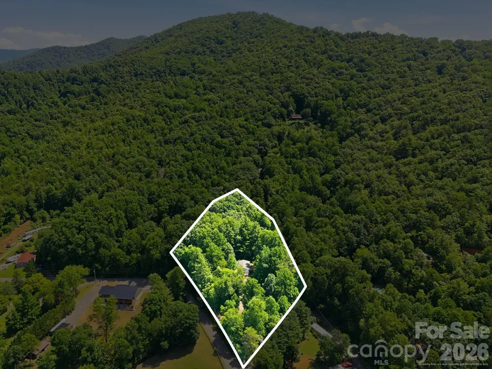95 Walker Cove Road Black Mountain, NC 28711