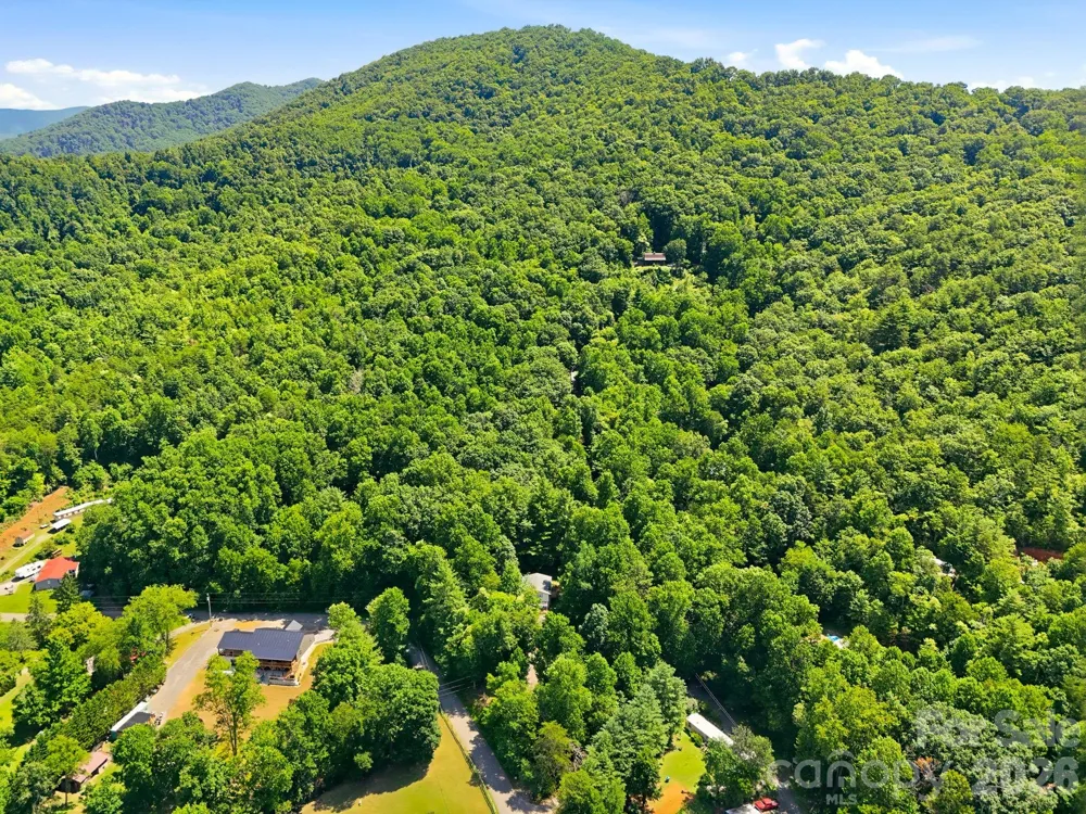 95 Walker Cove Road Black Mountain, NC 28711