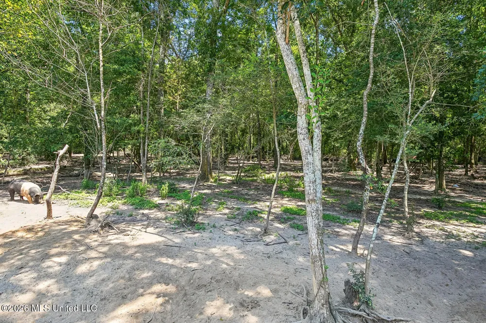 140 Sugar Creek Road Carriere, MS 39426
